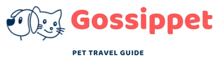 Gossippet — Pet Travel Guide